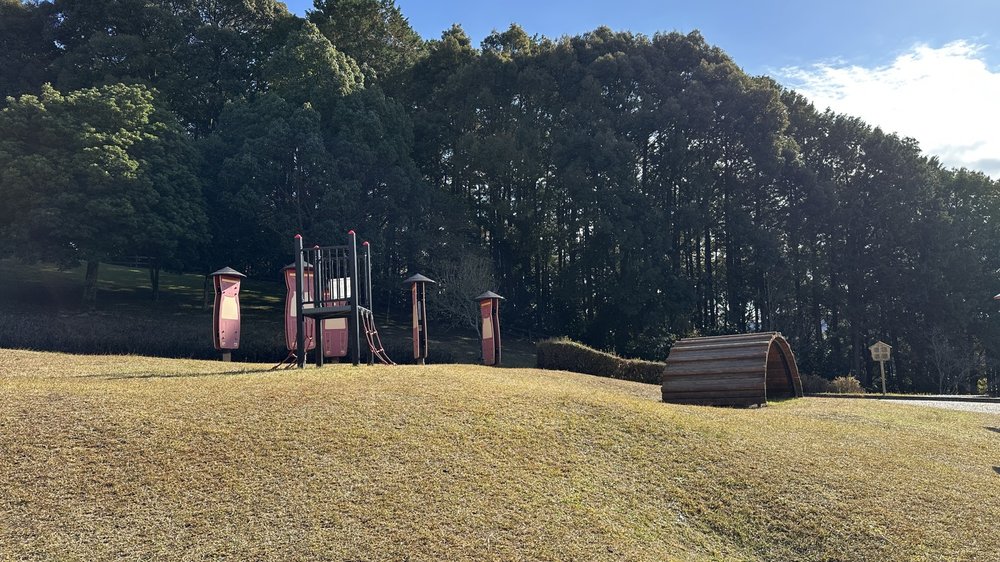 広々とした芝生広場も