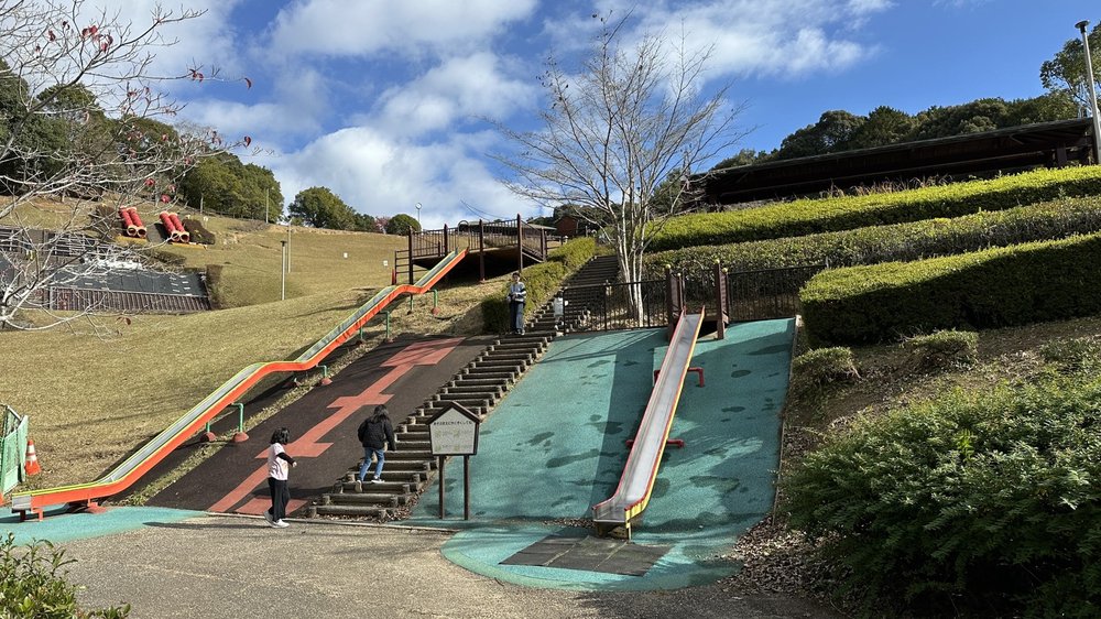 複数の滑り台で降りられる