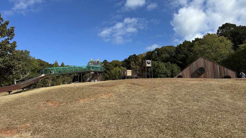 広々とした公園の景色