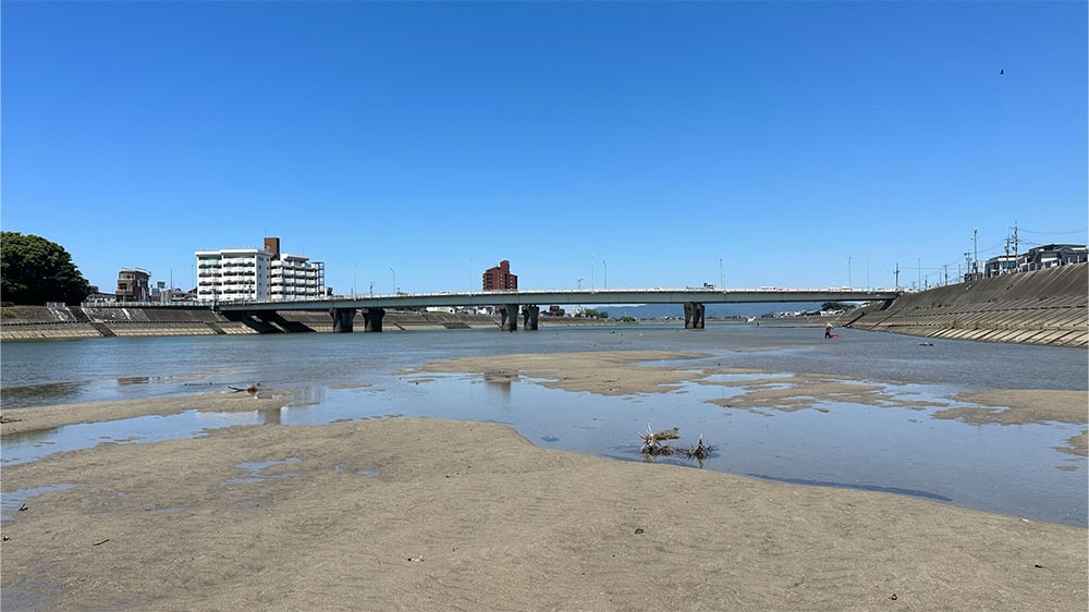 豊川でのシジミ狩りの様子